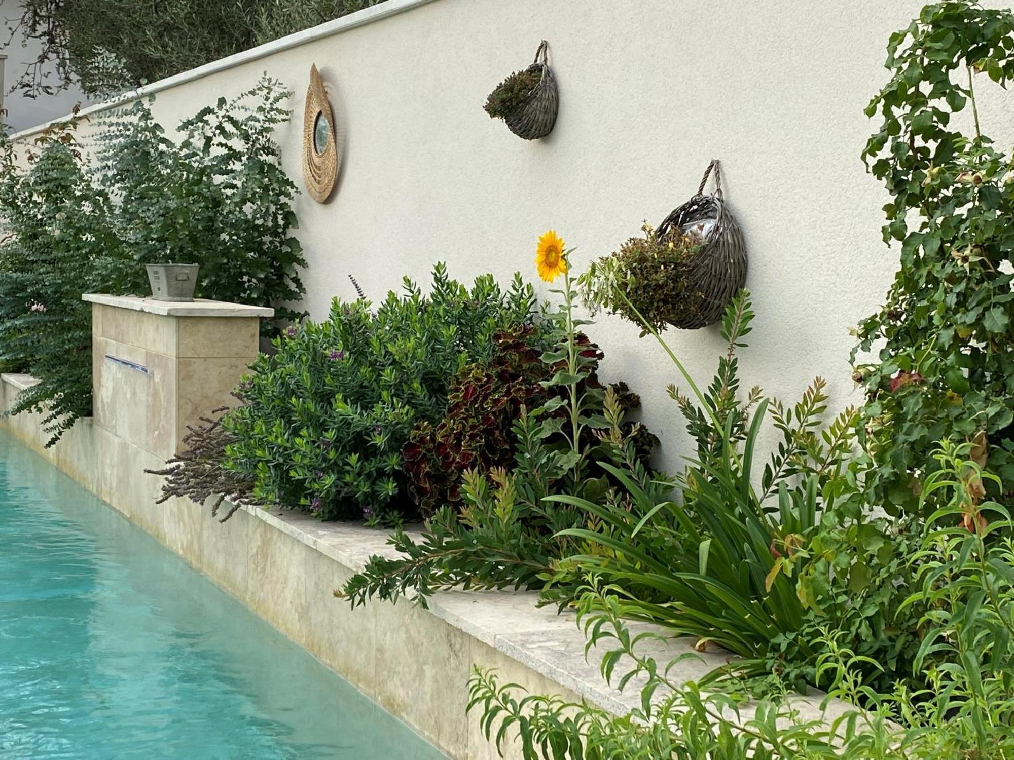 Apartamento Les Logis De Cocagne Saint-Rémy-de-Provence Exterior foto